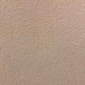 Meet your Posher, Art